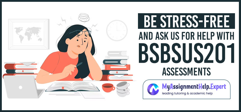 BSBSUS201 Assessment Answers